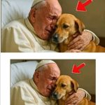 Pope Francis asked to say goodbye to his dog seconds before d… See more  kakmes April 26, 2025